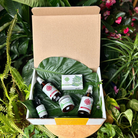 Body In Motion Bundle - Four Elements Herbals