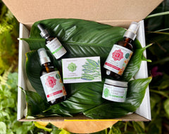 Body In Motion Bundle - Four Elements Herbals