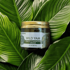Wild Yam Balancing Cream - 2 oz - Four Elements Herbals