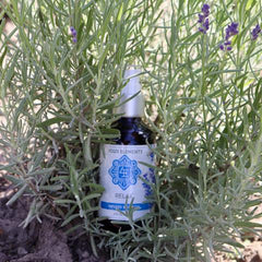 Bedtime Bundle - Four Elements Herbals