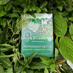 Peppermint Nettle Tea - 16 Teabags - Four Elements Herbals