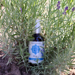 Relax Body Oil - 4 oz - Four Elements Herbals