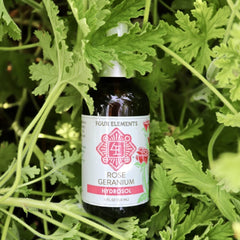 Rose Geranium Hydrosol - 4 oz - Four Elements Herbals