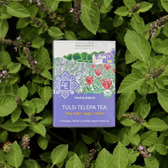 Tulsi Telepa Tea - 16 Teabags - Four Elements Herbals