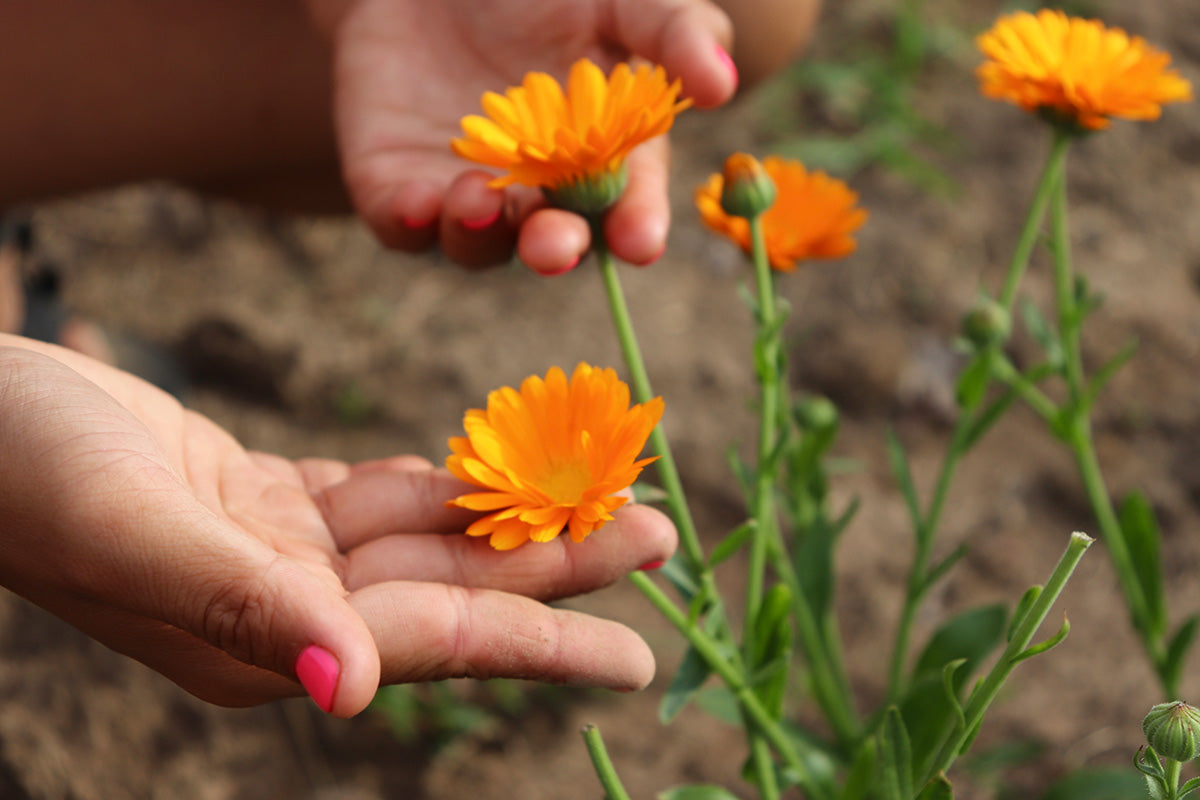 Mindfulness Made Simple: Tips for Incorporating Wellness into Your Daily Routine