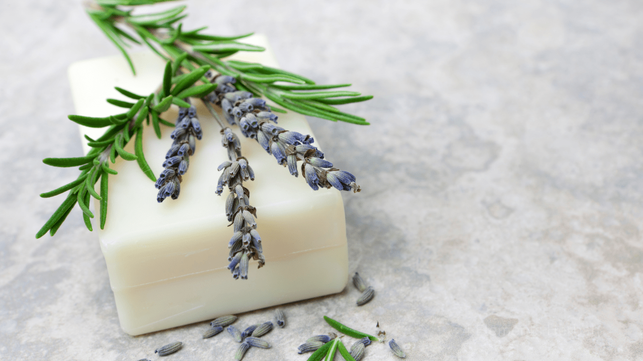 The Best Soap for Outdoor Lovers: Jewelweed, Pine, and Herbal Protection