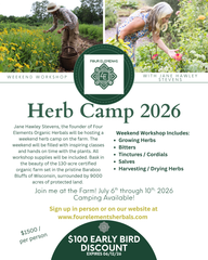 Summer Herb Camp With Jane