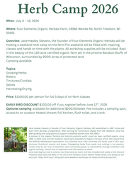 Summer Herb Camp With Jane