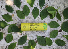 Lemon Balm Lip Balm - .3 oz