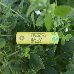Lemon Balm Lip Balm - .3 oz