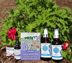Bedtime Bundle - Four Elements Herbals