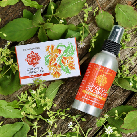 Jewelweed Chickweed Bundle - Four Elements Herbals