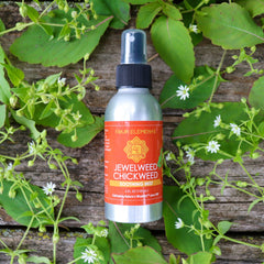 Jewelweed Chickweed Soothing Spray - Four Elements Herbals