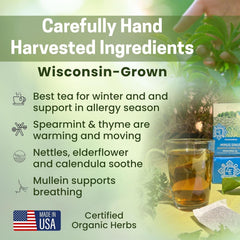 Minus Sinus Tea 2 - pack - Four Elements Herbals