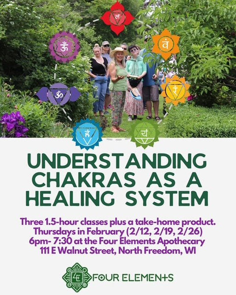 Understanding Chakras as a Healing System Class with Jane - Four Elements Herbals
