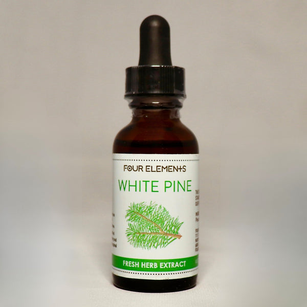 White Pine Tincture - 1 oz - Four Elements Herbals