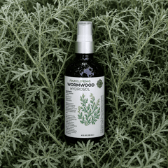 Wormwood Hydrosol - Four Elements Herbals