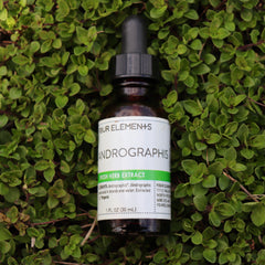 Four Elements Herbals Andrographis Tincture