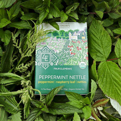 Peppermint Nettle Tea - 16 Teabags