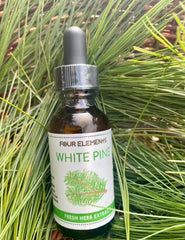 White Pine Tincture - 1 oz