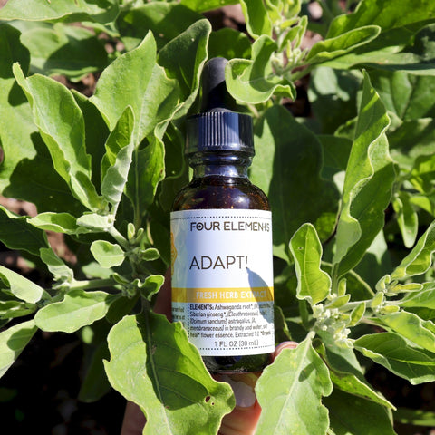 Adapt! Tincture Blend - 1 oz - Four Elements Herbals