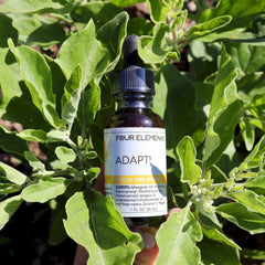Adapt! Tincture Blend - 1 oz - Four Elements Herbals