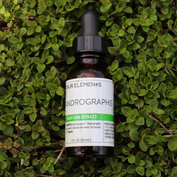 Andrographis Tincture - 1 oz - Four Elements Herbals