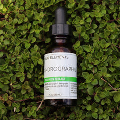 Andrographis Tincture - 1 oz - Four Elements Herbals