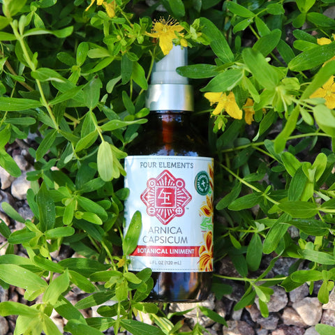 Arnica Capsicum Liniment - 4 oz - Four Elements Herbals