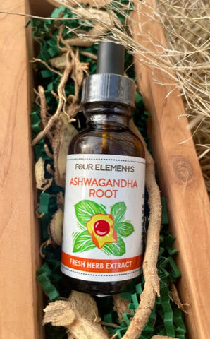 Ashwagandha Root Tincture - 1 oz - Four Elements Herbals