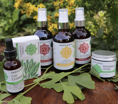 Body In Motion Bundle - Four Elements Herbals