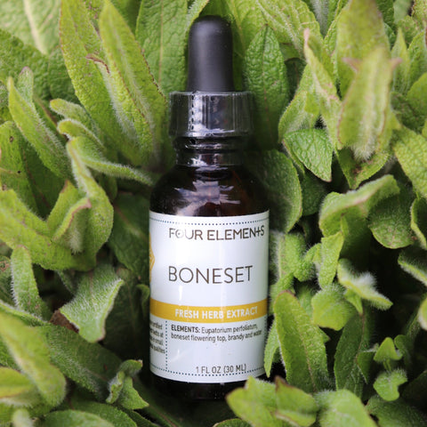 Boneset Tincture - 1 oz - Four Elements Herbals
