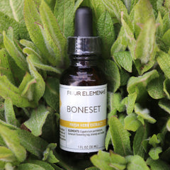 Boneset Tincture - 1 oz - Four Elements Herbals