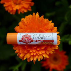 Calendula Orange Lip Balm - .15 oz - Four Elements Herbals