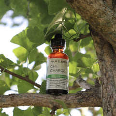 Chi Charge Herbal Tincture Blend - 1 oz