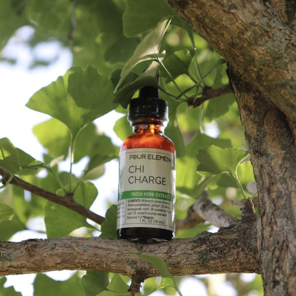 Chi Charge Herbal Tincture Blend - 1 oz - Four Elements Herbals