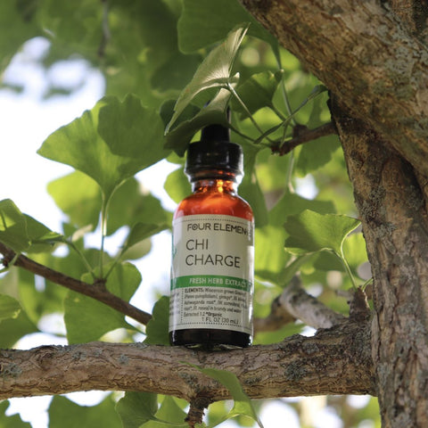Chi Charge Herbal Tincture Blend - 1 oz - Four Elements Herbals