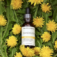 Dandelion Herb Tincture - 1 oz - Four Elements Herbals