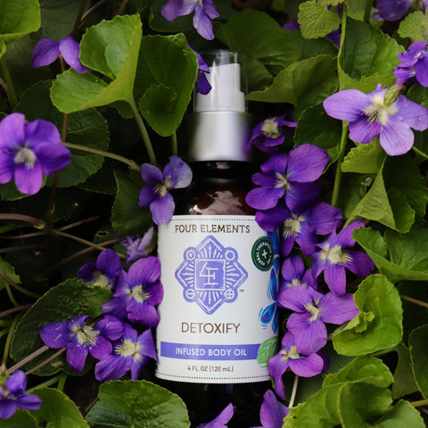 Detoxify Body Oil - 4 oz - Four Elements Herbals