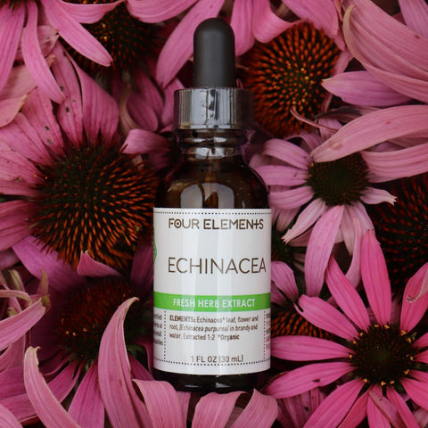 Echinacea Herb Tincture - 1 oz