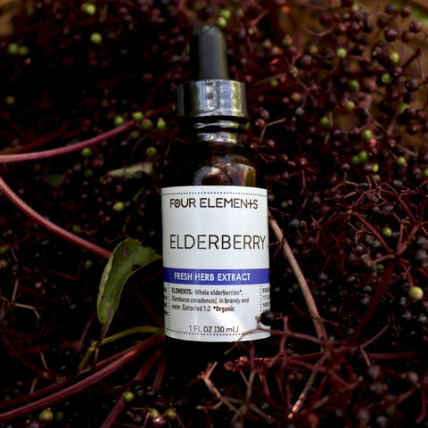 Elderberry Tincture - 1 oz - Four Elements Herbals