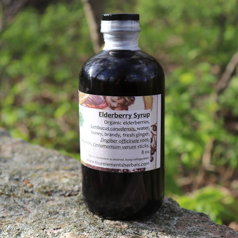 Elderberry Syrup - 8 oz