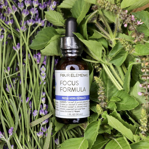 Focus Formula Tincture Blend - 1 oz - Four Elements Herbals