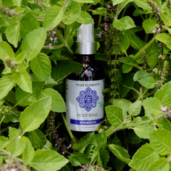Holy Basil Hydrosol - 4 oz -Limited Quantity Available