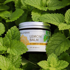 Lemon Balm All Over and Under Cream - 2 oz - Four Elements Herbals