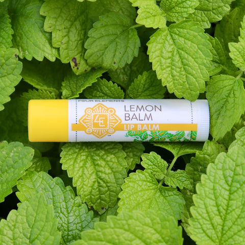 Lemon Balm Lip Balm - .15 oz - Four Elements Herbals