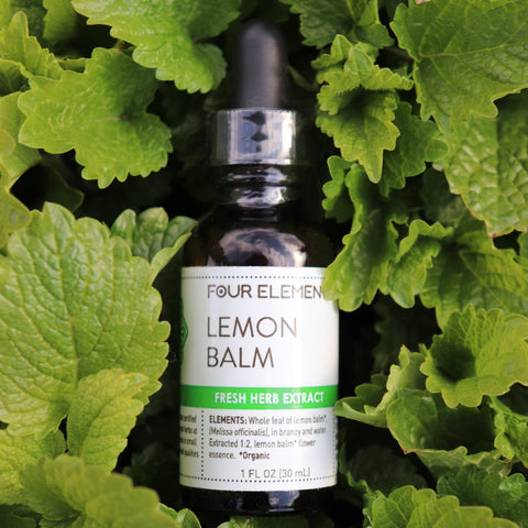 Lemon Balm Tincture - 1 oz - Four Elements Herbals