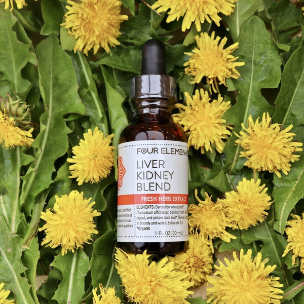 Liver Kidney Blend Herbal Tincture - 1 oz - Four Elements Herbals