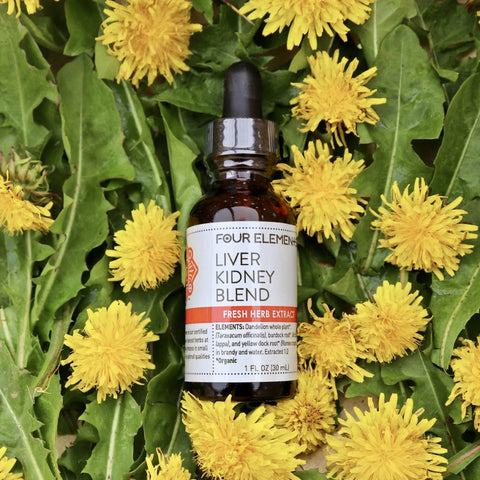 Liver Kidney Blend Herbal Tincture - 1 oz - Four Elements Herbals