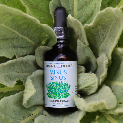 Minus Sinus Tincture - 1 oz - Four Elements Herbals